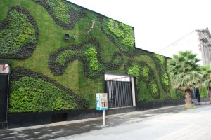 Moderne Architektur Und Pflanzenwelt